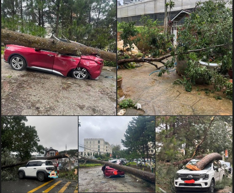 Bảo hiểm ô tô, Bảo hiểm thân vỏ ô tô, Emily xevaban, Bảo hiểm bắt buộc, Mua bảo hiểm ô tô, tư vấn bảo hiểm miễn phí, đòi quyền lợi bảo hiểm miễn phí, Xe hỏng do thiên tai bão lũ, Bảo hiểm xe do thiên tai, Bảo hiểm xe do bão lũ