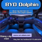 Led nội thất BYD dolphin