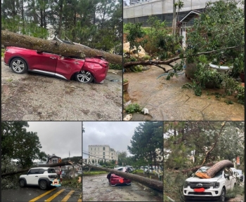 Xe bị thiệt hại do thiên tai bão lũ có được bồi thường không?