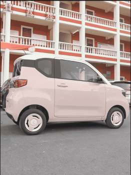 Ốp Lazang Wuling Mini EV